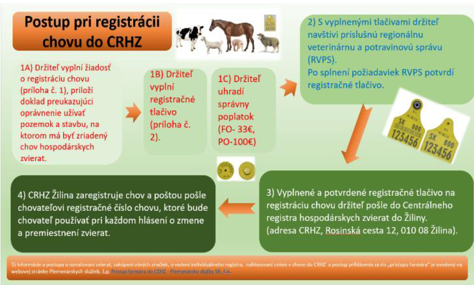 postup_registracie.png